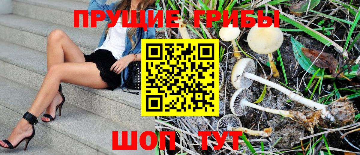 Павловский Посад  Псилоцибиновые грибы Magic Shrooms  Вход с VPN 